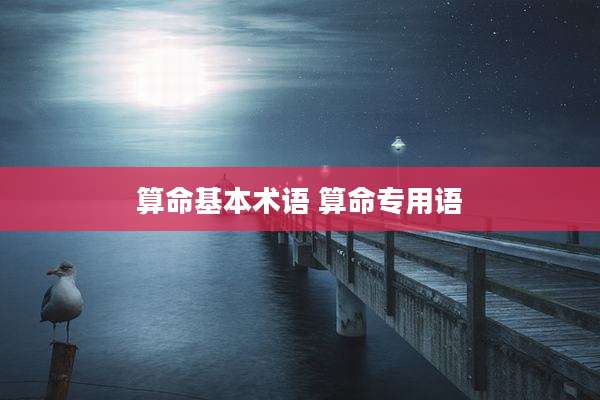 算命基本术语 算命专用语