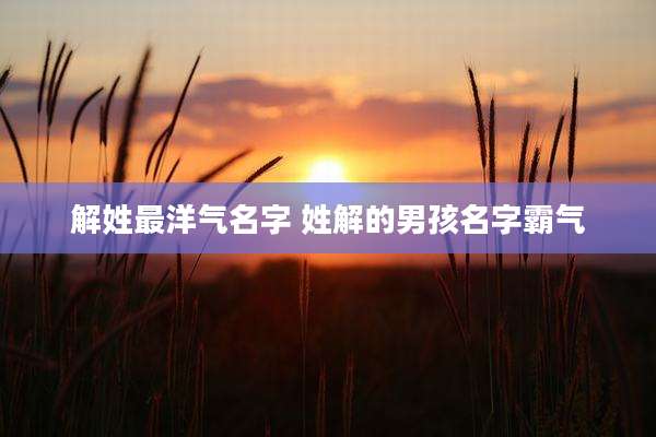 解姓最洋气名字 姓解的男孩名字霸气