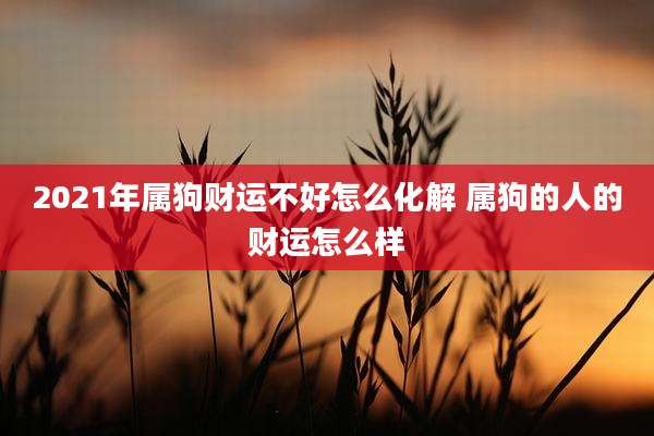 2021年属狗财运不好怎么化解 属狗的人的财运怎么样