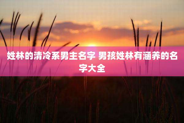 姓林的清冷系男主名字 男孩姓林有涵养的名字大全