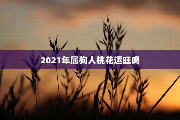 2021年属狗人桃花运旺吗
