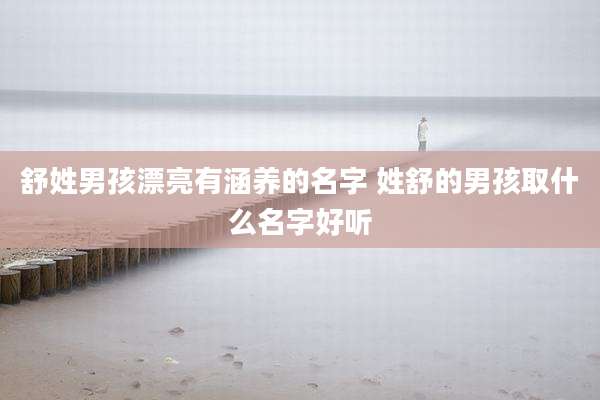 舒姓男孩漂亮有涵养的名字 姓舒的男孩取什么名字好听