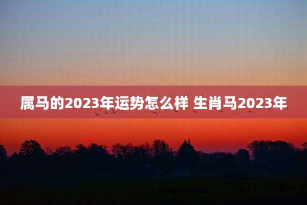 属马的2023年运势怎么样 生肖马2023年