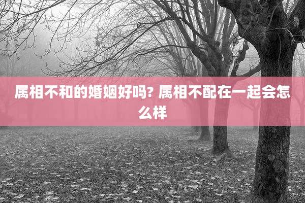 属相不和的婚姻好吗? 属相不配在一起会怎么样