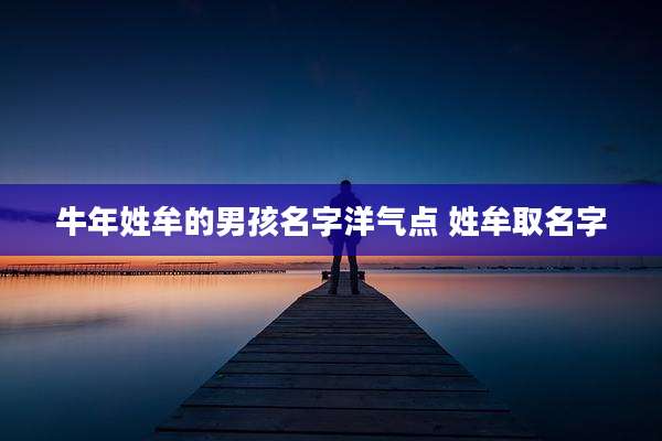 牛年姓牟的男孩名字洋气点 姓牟取名字