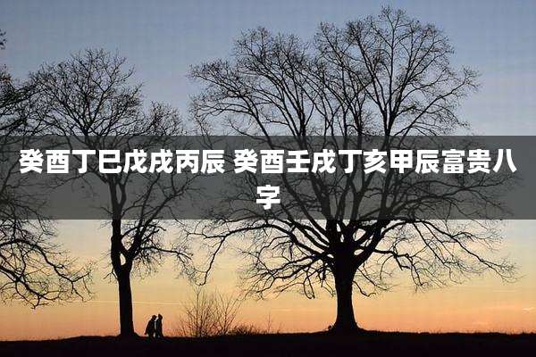 癸酉丁巳戊戌丙辰 癸酉壬戌丁亥甲辰富贵八字