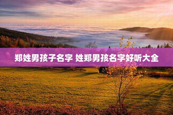 郑姓男孩子名字 姓郑男孩名字好听大全