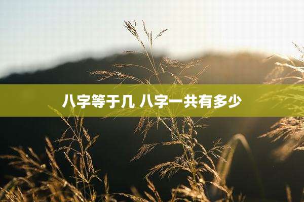 八字等于几 八字一共有多少