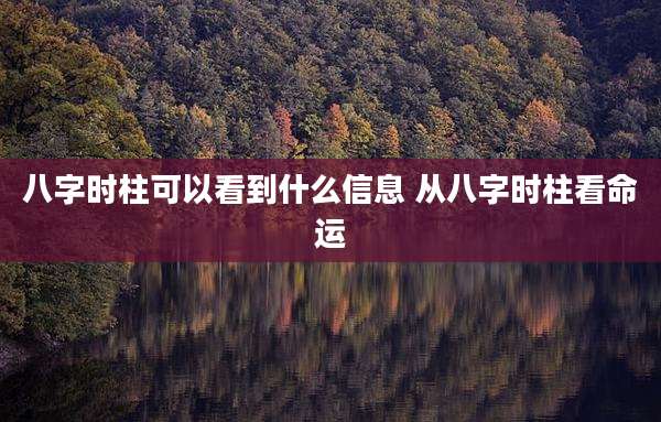 八字时柱可以看到什么信息 从八字时柱看命运