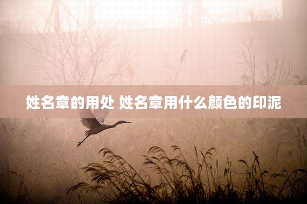 姓名章的用处 姓名章用什么颜色的印泥