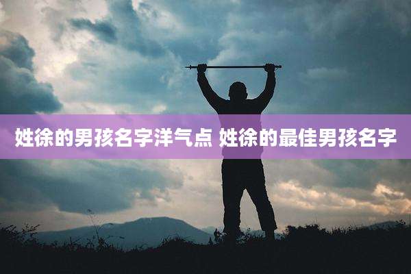 姓徐的男孩名字洋气点 姓徐的最佳男孩名字