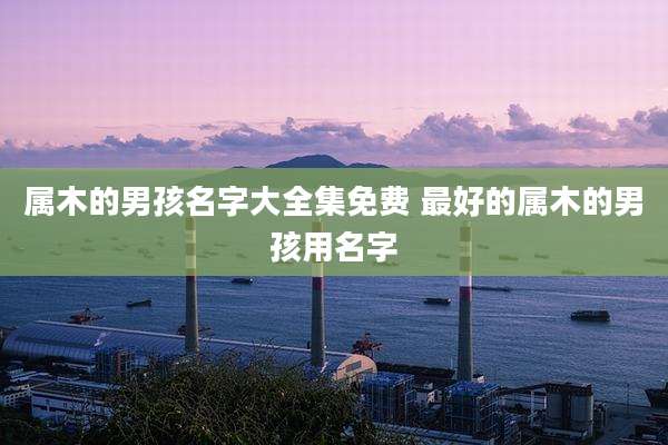 属木的男孩名字大全集免费 最好的属木的男孩用名字