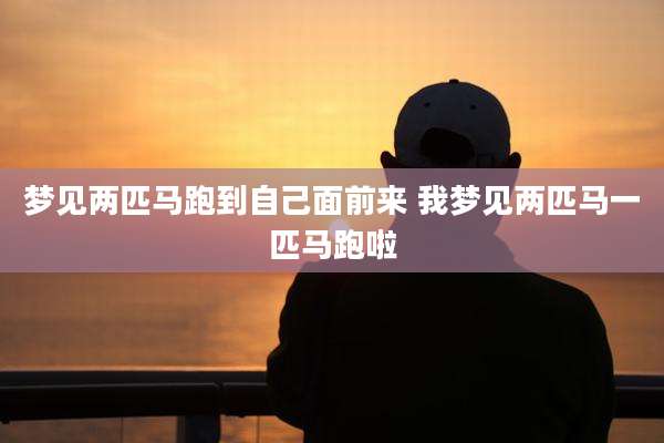 梦见两匹马跑到自己面前来 我梦见两匹马一匹马跑啦