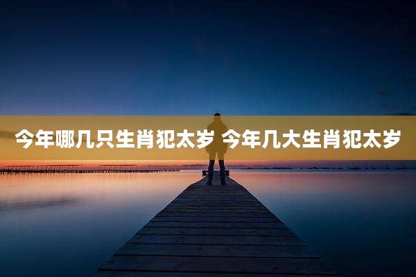 今年哪几只生肖犯太岁 今年几大生肖犯太岁