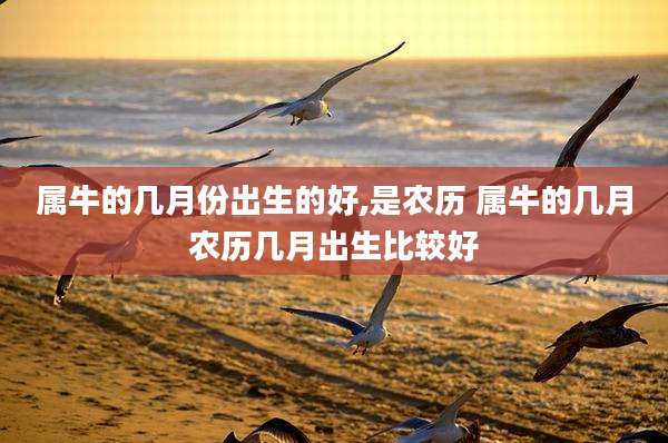 属牛的几月份出生的好,是农历 属牛的几月农历几月出生比较好