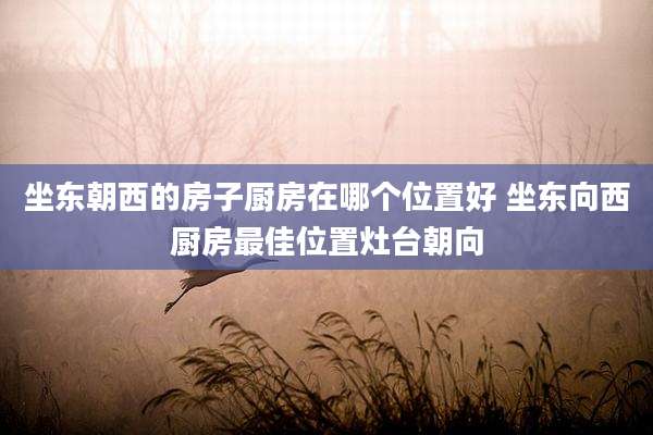 坐东朝西的房子厨房在哪个位置好 坐东向西厨房最佳位置灶台朝向