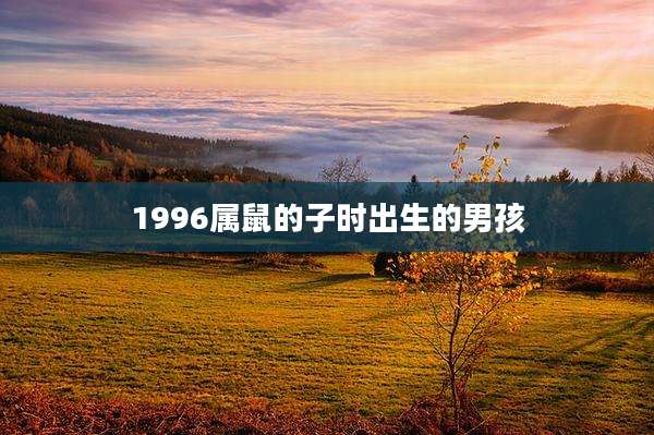 1996属鼠的子时出生的男孩