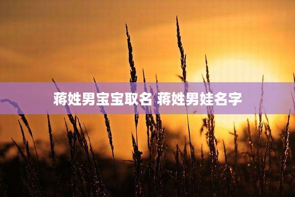蒋姓男宝宝取名 蒋姓男娃名字
