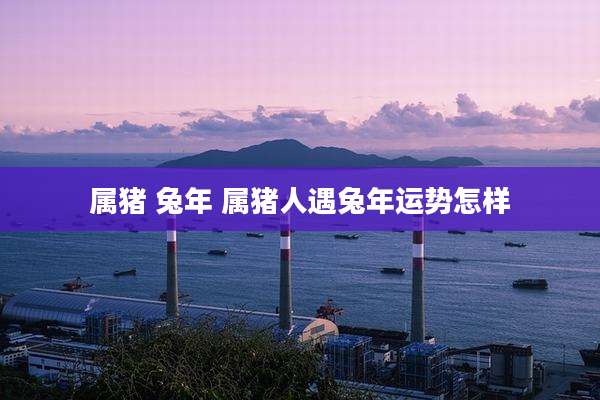 属猪 兔年 属猪人遇兔年运势怎样