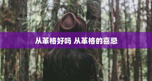 从革格好吗 从革格的喜忌