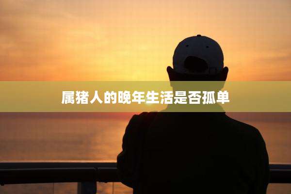 属猪人的晚年生活是否孤单