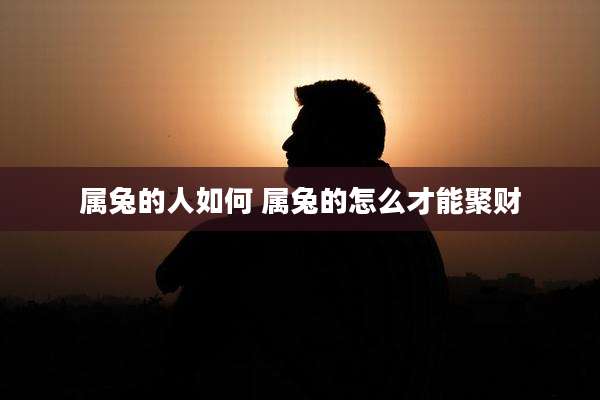 属兔的人如何 属兔的怎么才能聚财