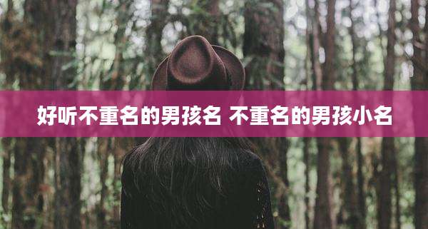好听不重名的男孩名 不重名的男孩小名