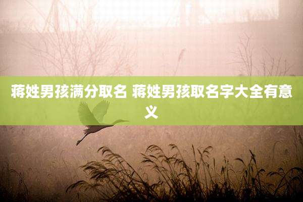 蒋姓男孩满分取名 蒋姓男孩取名字大全有意义