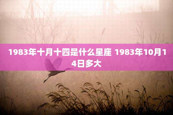1983年十月十四是什么星座 1983年10月14日多大