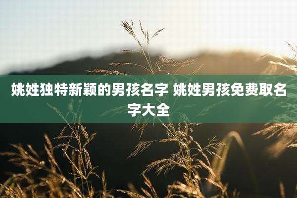 姚姓独特新颖的男孩名字 姚姓男孩免费取名字大全