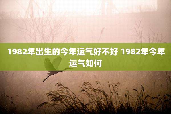 1982年出生的今年运气好不好 1982年今年运气如何