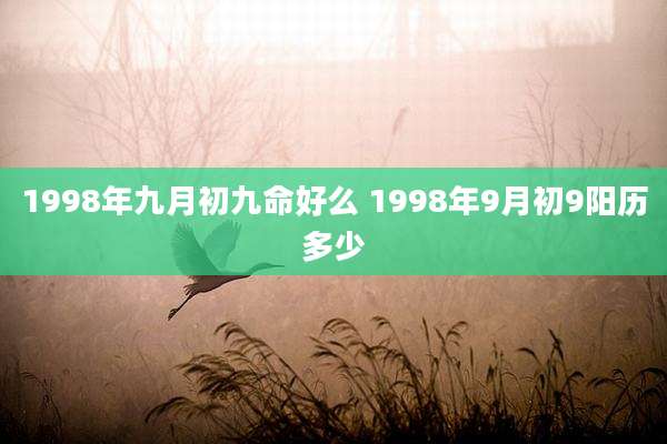 1998年九月初九命好么 1998年9月初9阳历多少
