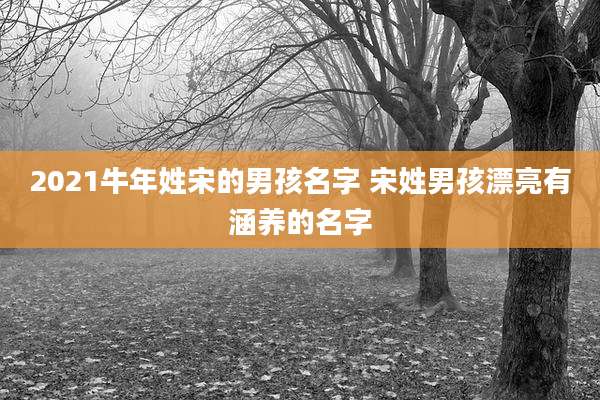 2021牛年姓宋的男孩名字 宋姓男孩漂亮有涵养的名字
