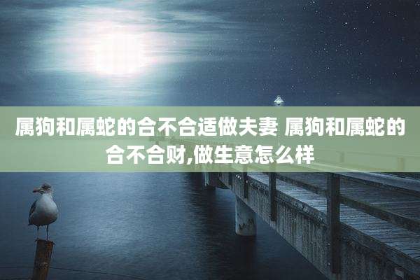 属狗和属蛇的合不合适做夫妻 属狗和属蛇的合不合财,做生意怎么样