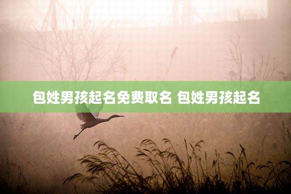 包姓男孩起名免费取名 包姓男孩起名