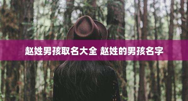 赵姓男孩取名大全 赵姓的男孩名字