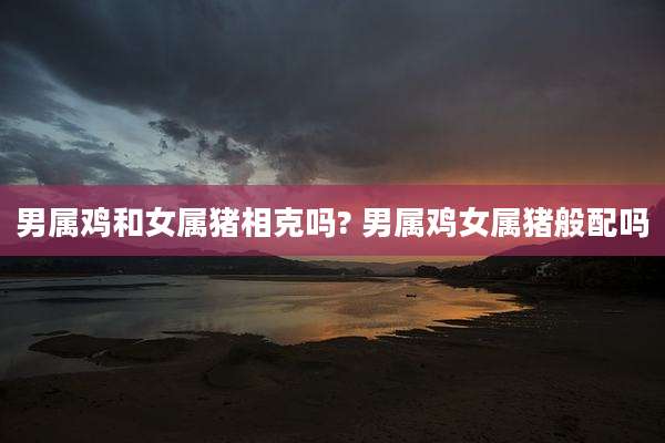 男属鸡和女属猪相克吗? 男属鸡女属猪般配吗