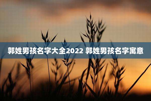 郭姓男孩名字大全2022 郭姓男孩名字寓意