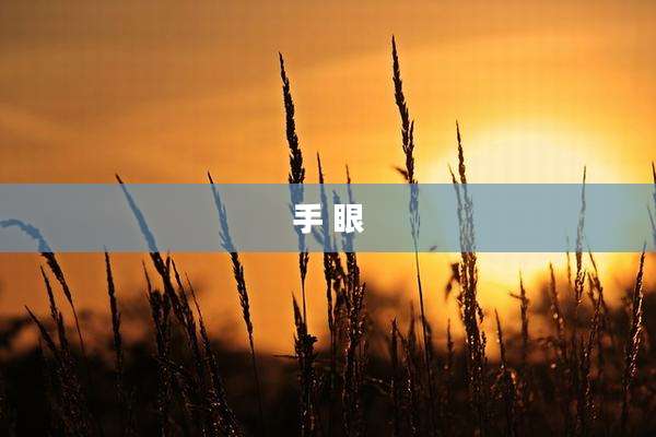手 眼