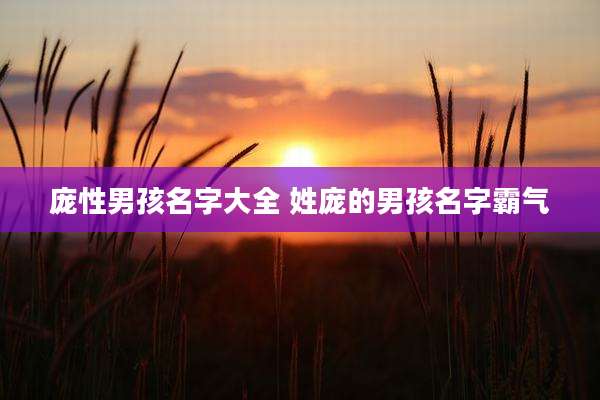 庞性男孩名字大全 姓庞的男孩名字霸气