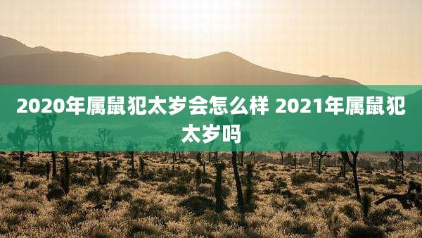 2020年属鼠犯太岁会怎么样 2021年属鼠犯太岁吗
