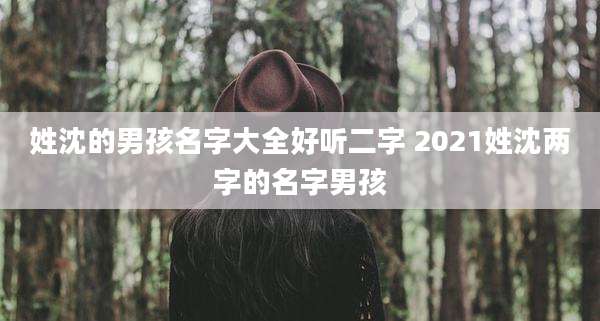 姓沈的男孩名字大全好听二字 2021姓沈两字的名字男孩