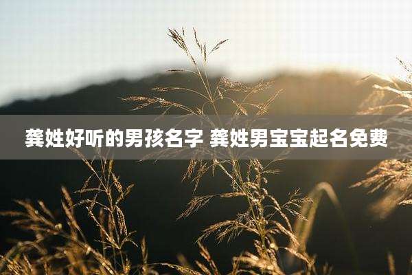 龚姓好听的男孩名字 龚姓男宝宝起名免费