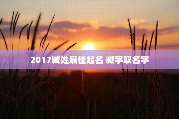2017臧姓最佳起名 臧字取名字