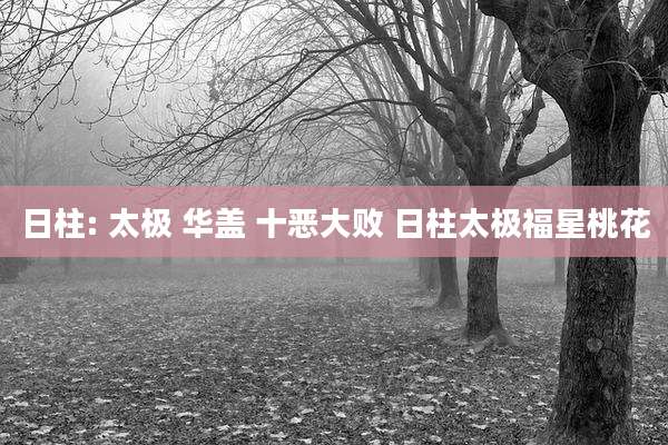 日柱: 太极 华盖 十恶大败 日柱太极福星桃花