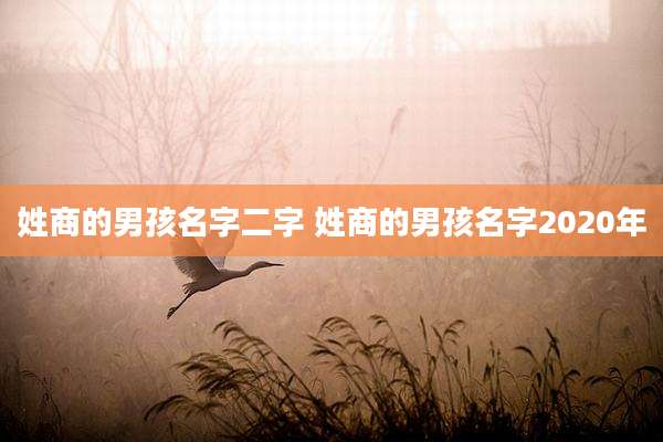 姓商的男孩名字二字 姓商的男孩名字2020年