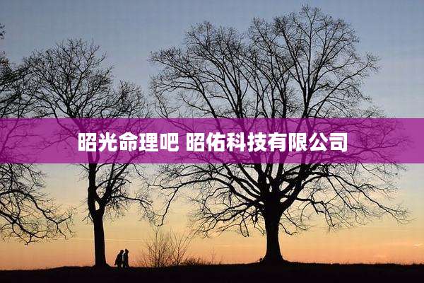 昭光命理吧 昭佑科技有限公司