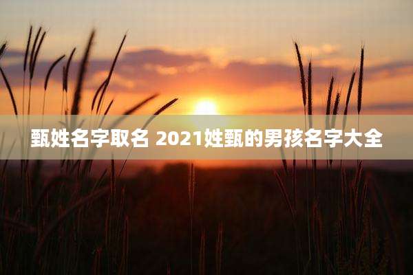 甄姓名字取名 2021姓甄的男孩名字大全