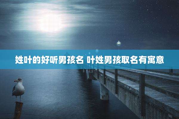 姓叶的好听男孩名 叶姓男孩取名有寓意