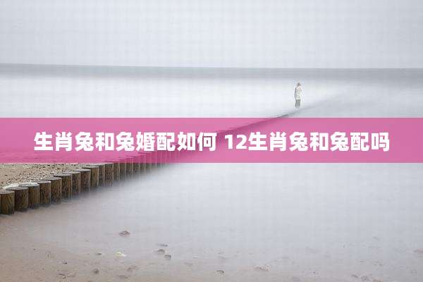 生肖兔和兔婚配如何 12生肖兔和兔配吗
